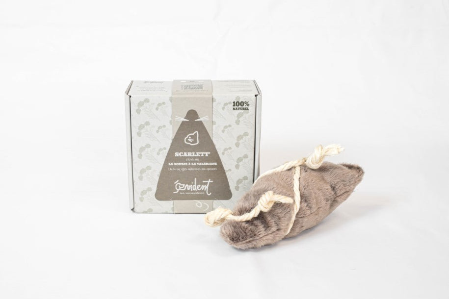 souris-a-la-valerianeEvident1.jpg