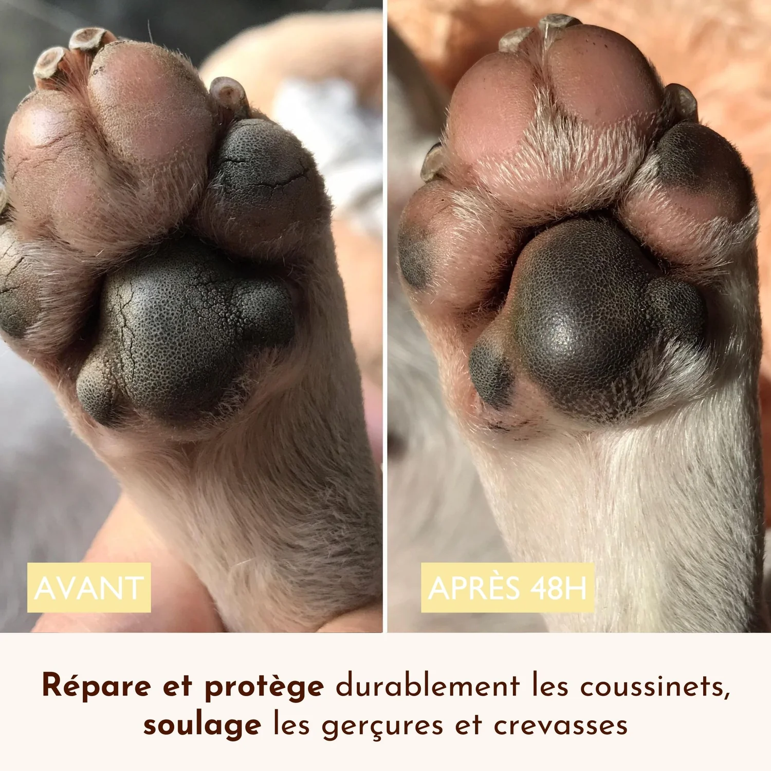Stick doux coussinets