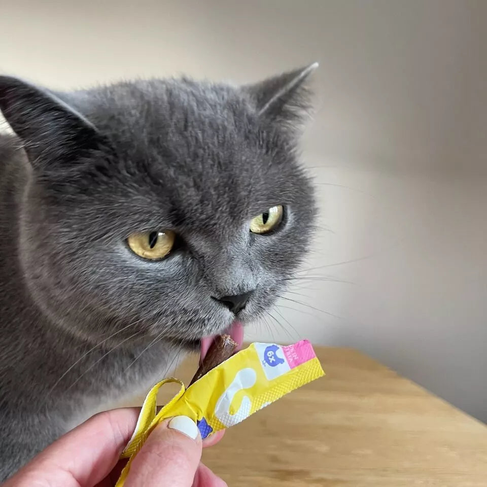 stickaupouletpourchat2_8064f6db-fee1-4a08-9ef2-6ae47c4b96bd.webp