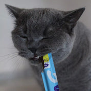 Saumon - Friandise en stick pour chat