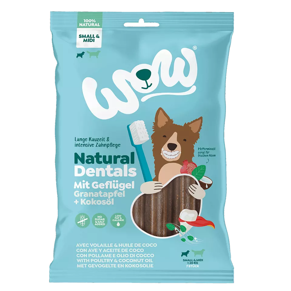 Stick dentaire - Friandises naturelles