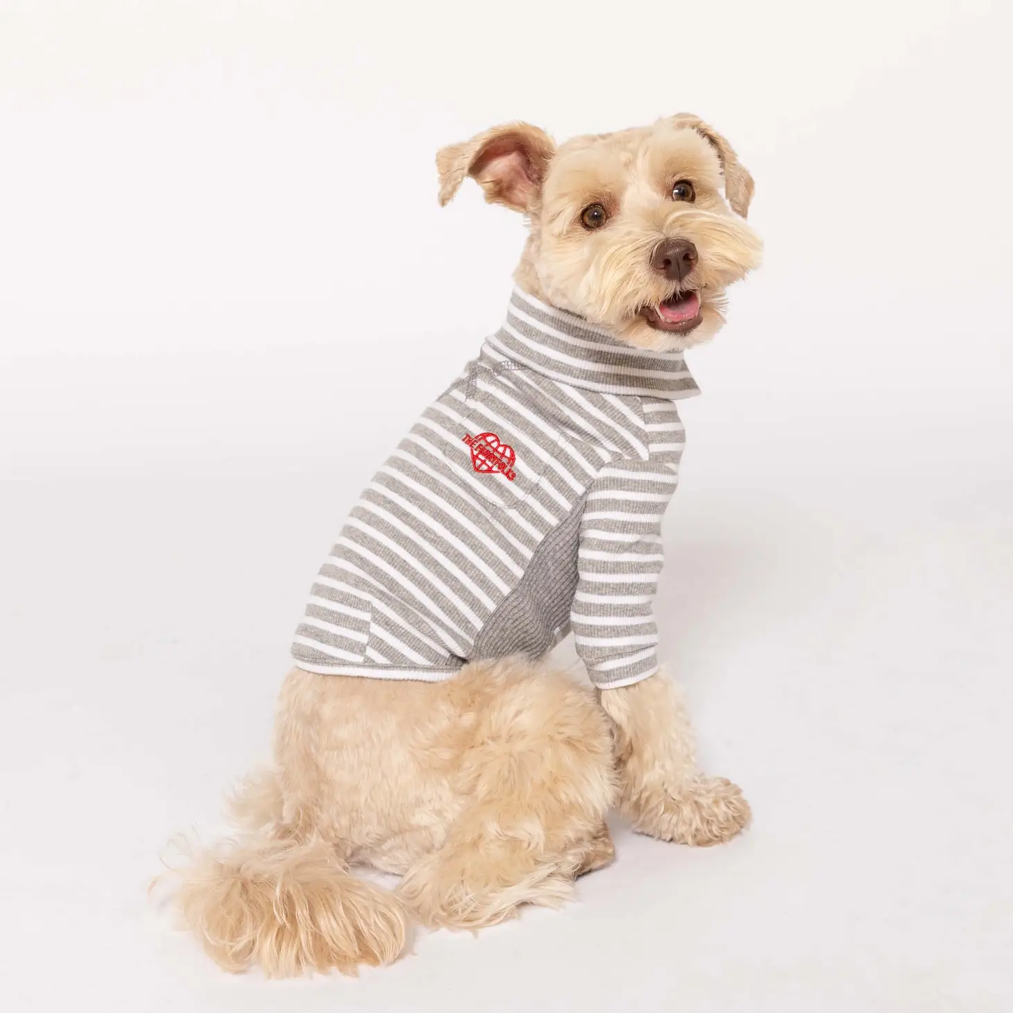 Vêtement pour chien : T-shirt rayé