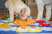 Petit déjeuner pour chien - Tapis d'occupation pour divertir votre animal | Marque Muzon