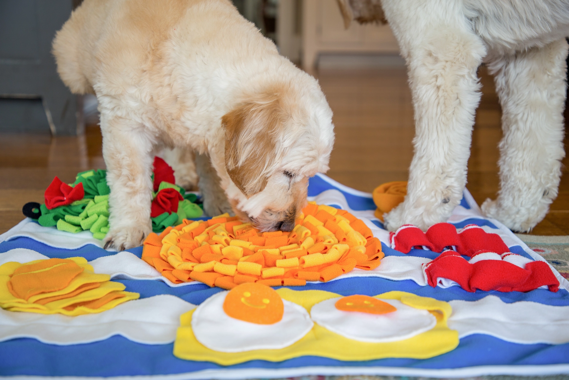 Petit déjeuner pour chien - Tapis d'occupation pour divertir votre animal | Marque Muzon