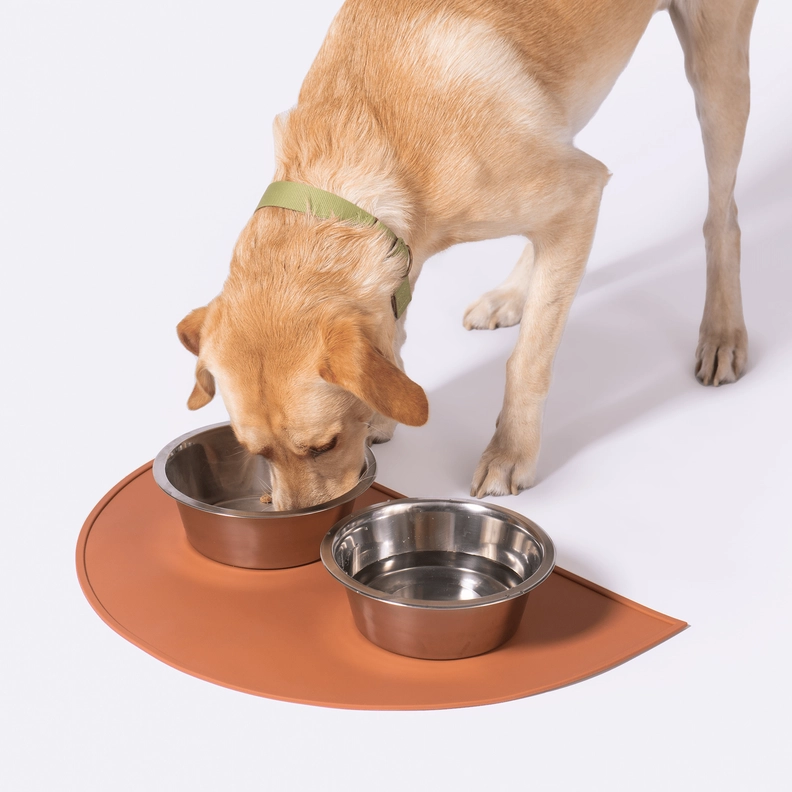 Un chien mange dans ses gamelles sur un tapis pour gamelle de chiens orange