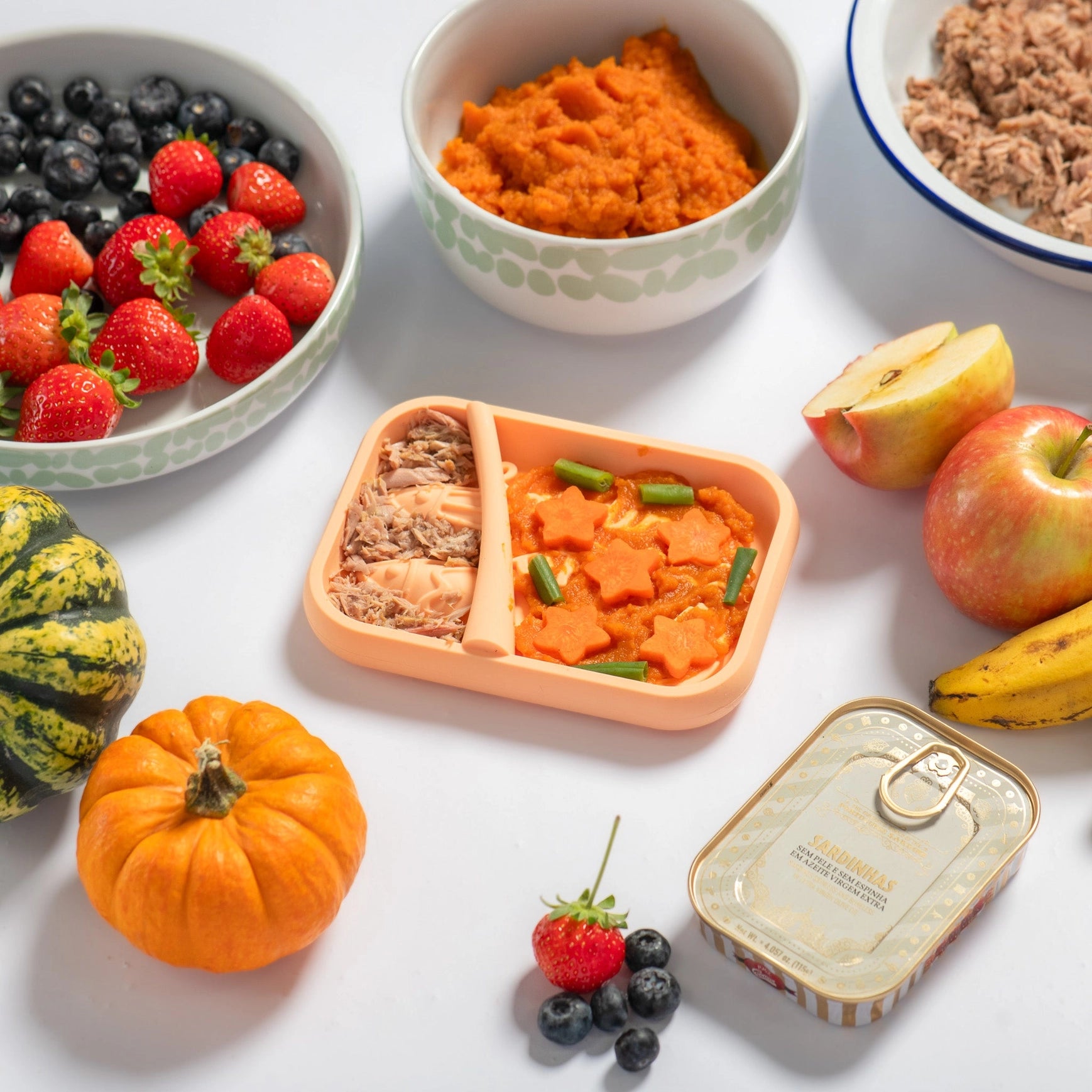 Tapis de léchage sardine - Saumon