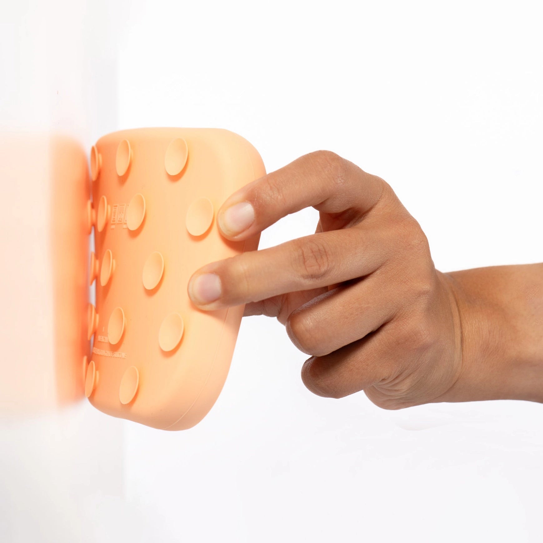 Tapis de léchage sardine - Saumon