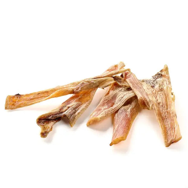 tendons_d_autruche_1.webp