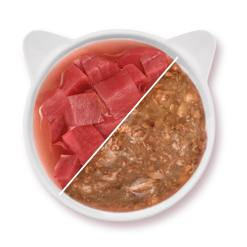 Thon - Nourriture en sauce pour chat