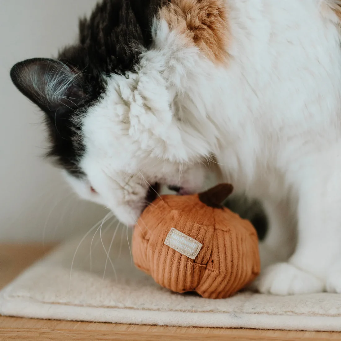 Jouets de fouille pour chat - Le set veggie